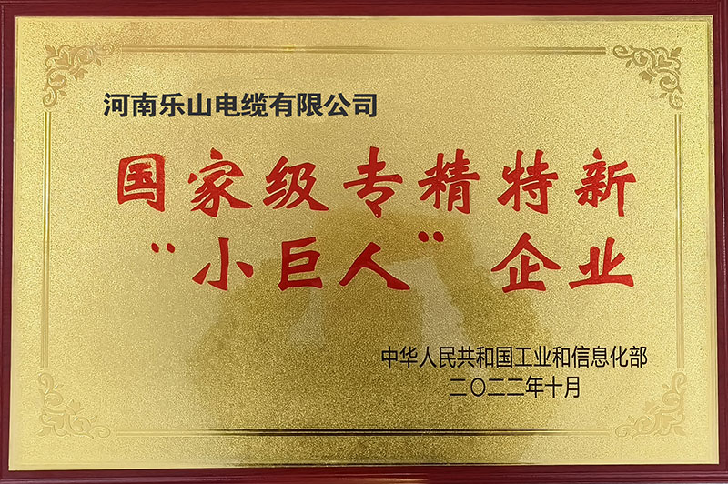 专精特新小巨人企业1.jpg